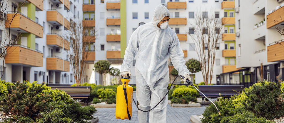 exterminateur professionnel Montréal service 24/7 inspection nuisibles