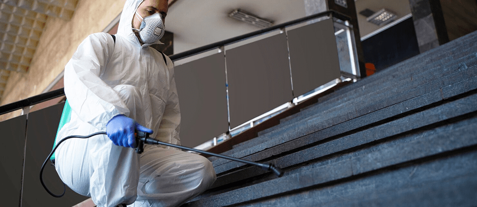 exterminateur professionnel Montréal service 24/7 inspection nuisibles