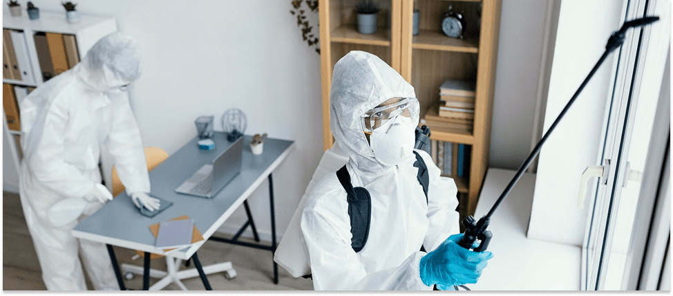 exterminateur professionnel Montréal service 24/7 inspection nuisibles