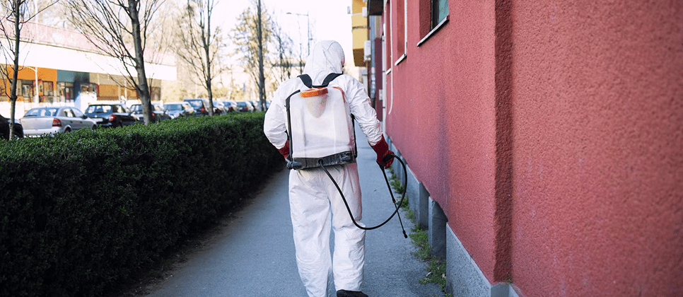 exterminateur professionnel Montréal service 24/7 inspection nuisibles